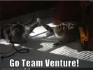 GoTeamVenture.jpg