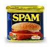 spam.webp