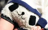 panda-shorts-01.webp