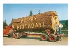 Birthday+%u0025232.webp