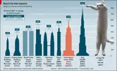 long-cat-buildings-height.webp