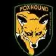 Foxhound