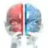 SplitBrain